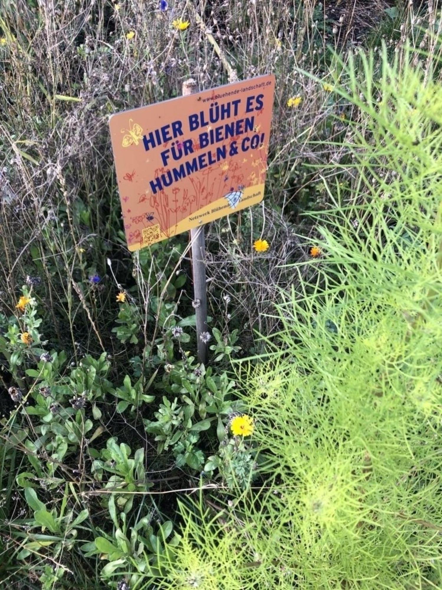 Meeresperle 4 Meerjungfrau Klutz Luaran gambar